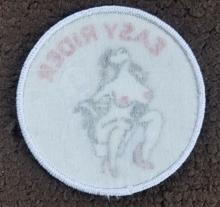 EASY RIDER SKULL OUTLAW Biker MOTORCYCLE PATCH Sew On