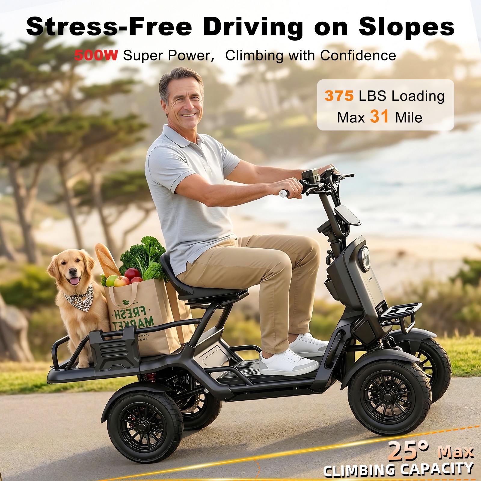 S20-17B All Terrain Electric Cruiser Scooter Frame Beach Lawn Mud Trails Black