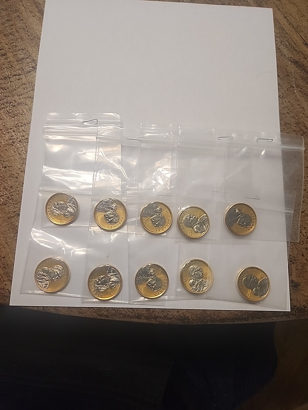 Sacagawea Dollars Platinum and Gold Highlighted Not Circulated