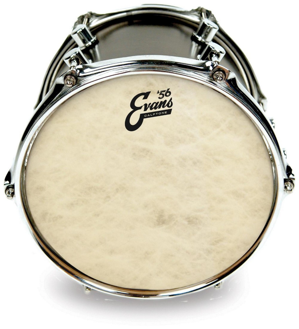 Evans Calftone Drumhead 18 in.