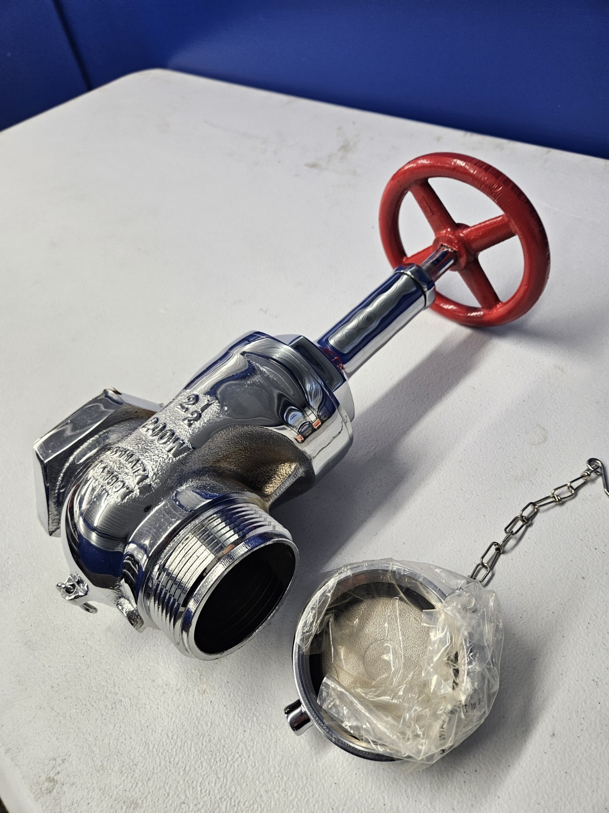 Dixon Powhatan 2 1/2" Gate Valve With Cap, Chrome Finish, Fire Protection, New