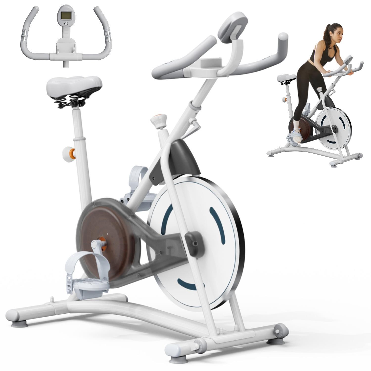 Magnetic Exercise Bike, Alloy Steel Frame, Adjustable & Transport Wheels