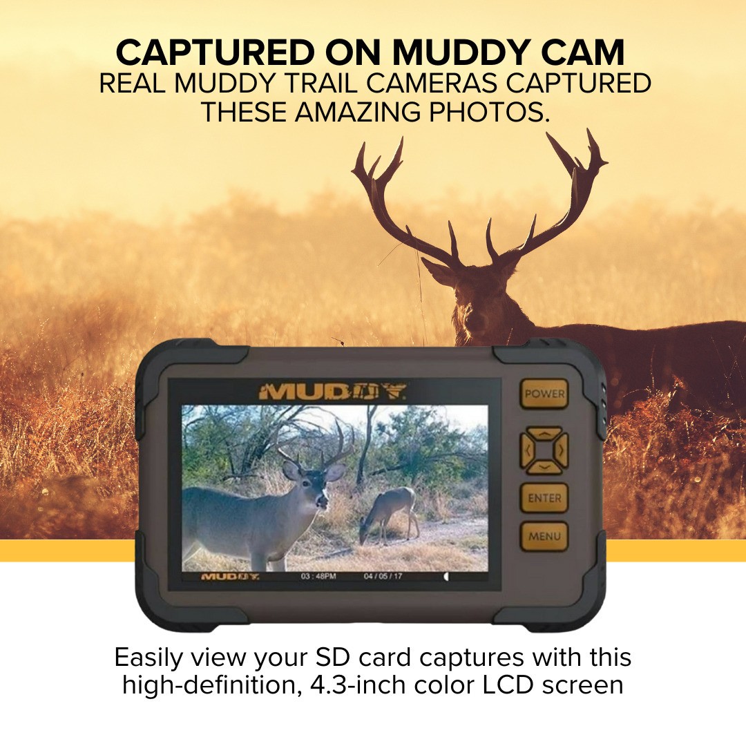 Muddy 4.3 Inch LCD Screen SD Card Reader Viewer Memory Card (2 Pack) Bundle