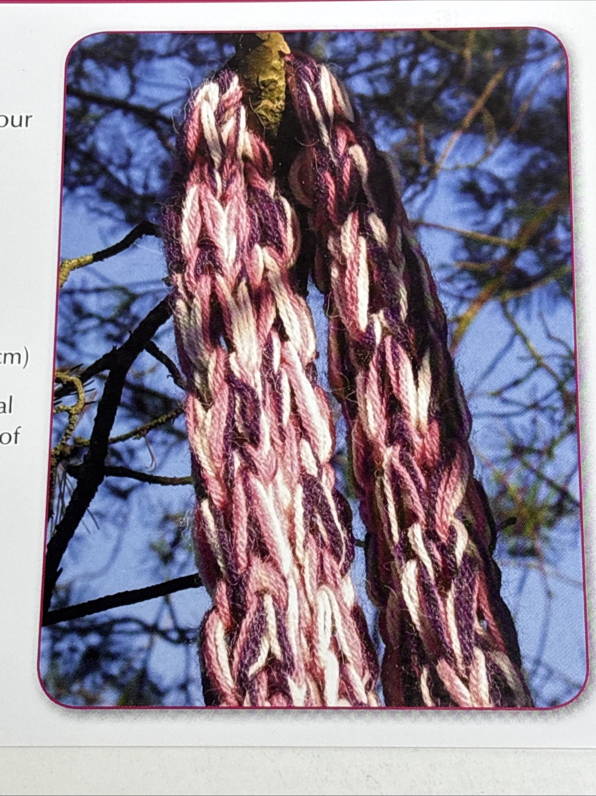 Springtime Scarf Knitting Pattern Card Page