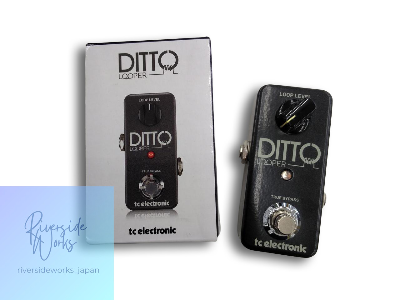 DITTO Looper Guitar Effects Pedal