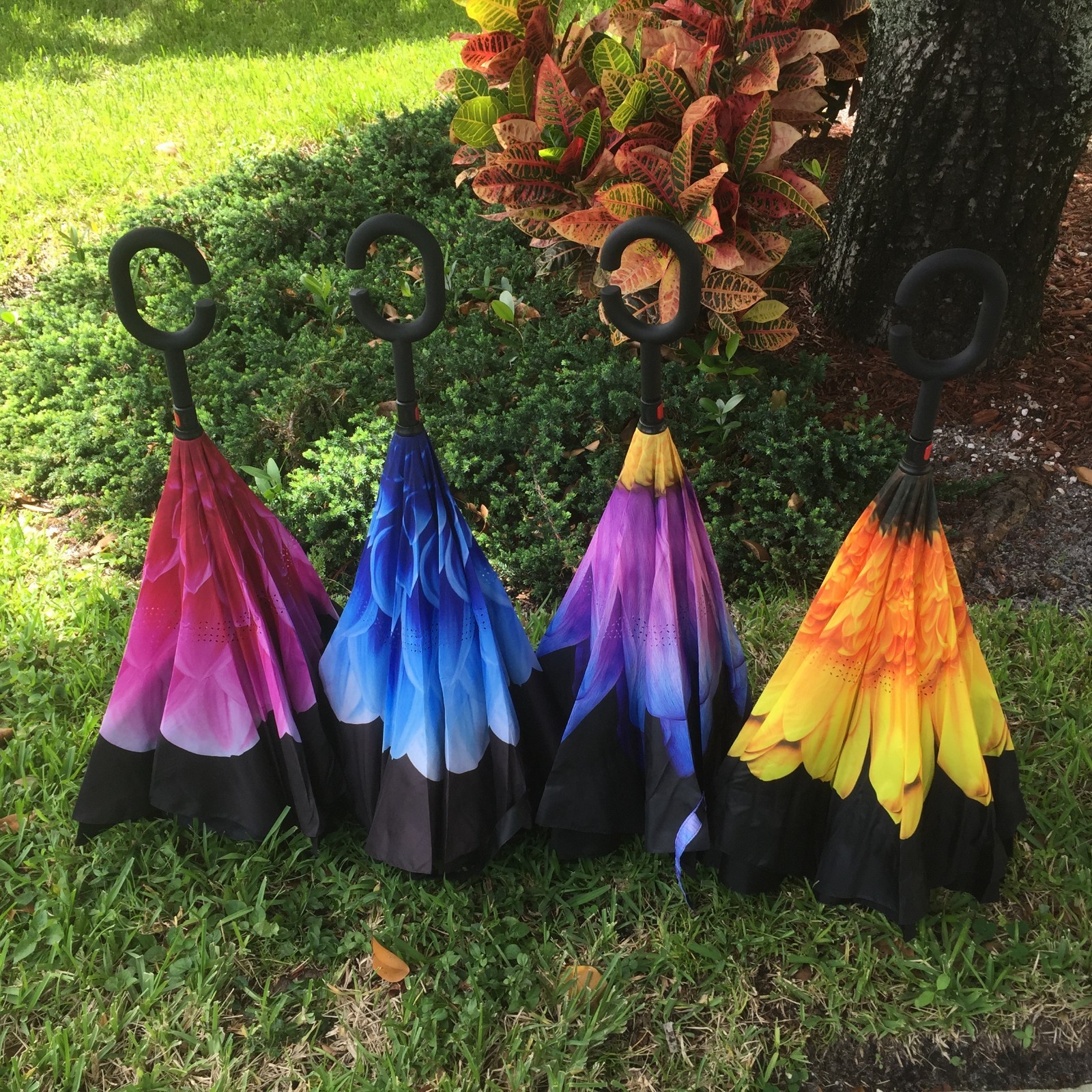 C-Handle Inverted Inside-Out/Upside Down/Reverse Opening Umbrella 20% Off