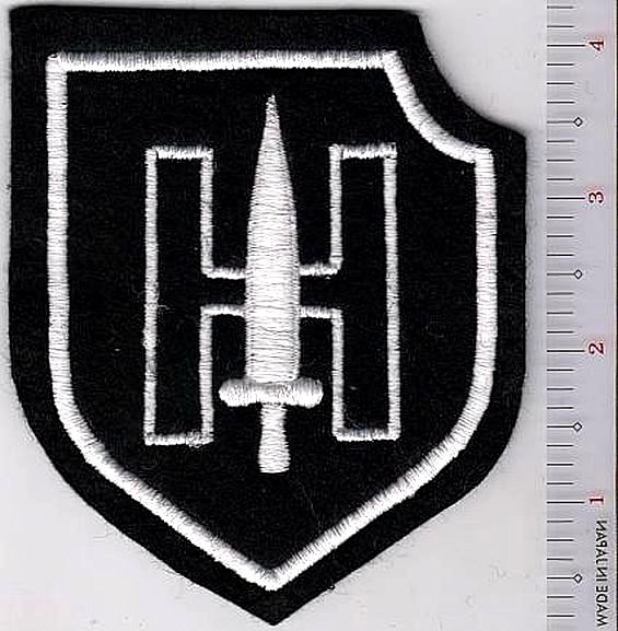 Germany German Army Armored Division  9th Panzer Patch NO TARIFF