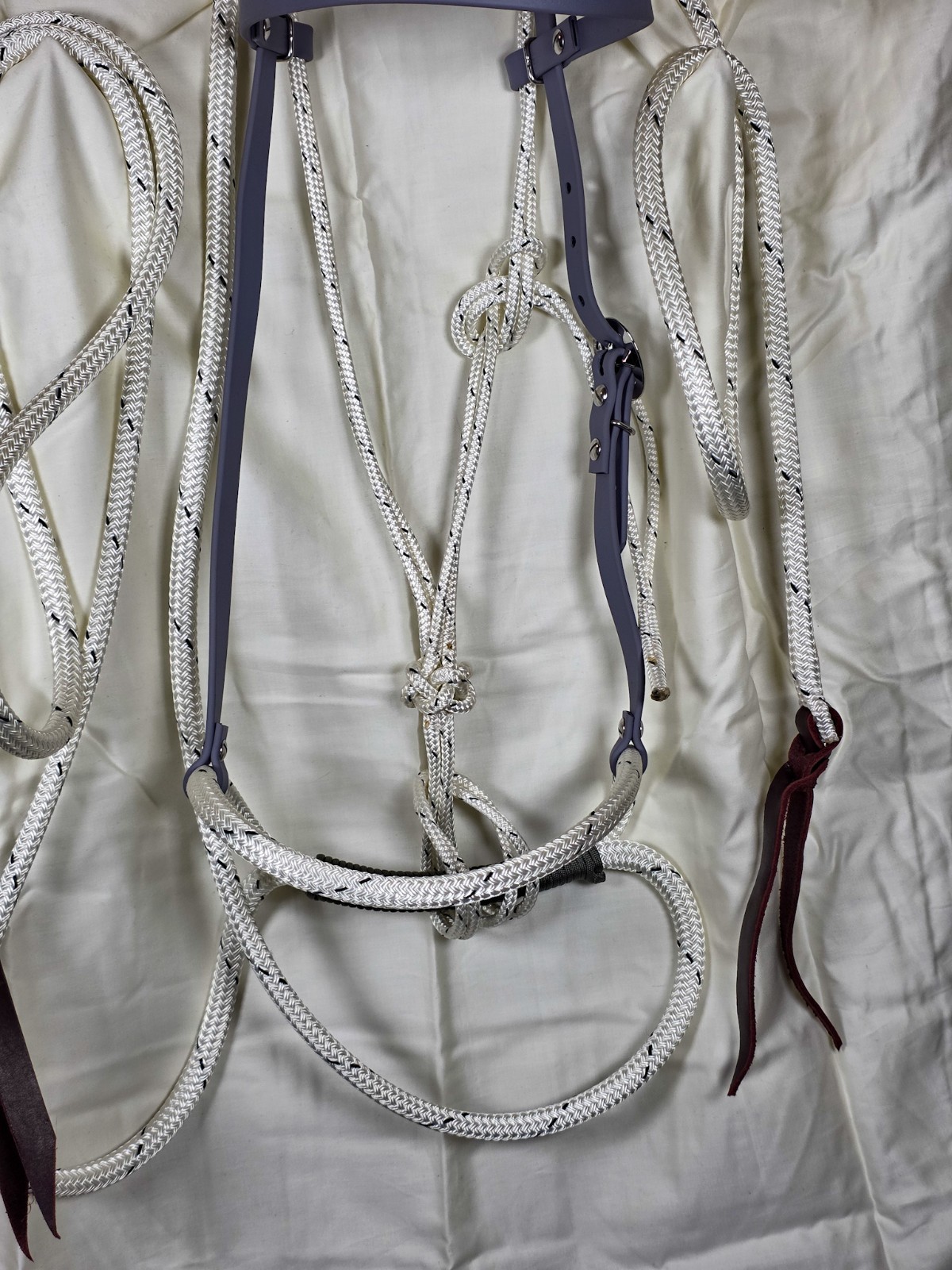 Soft Nose Loping Bridle
