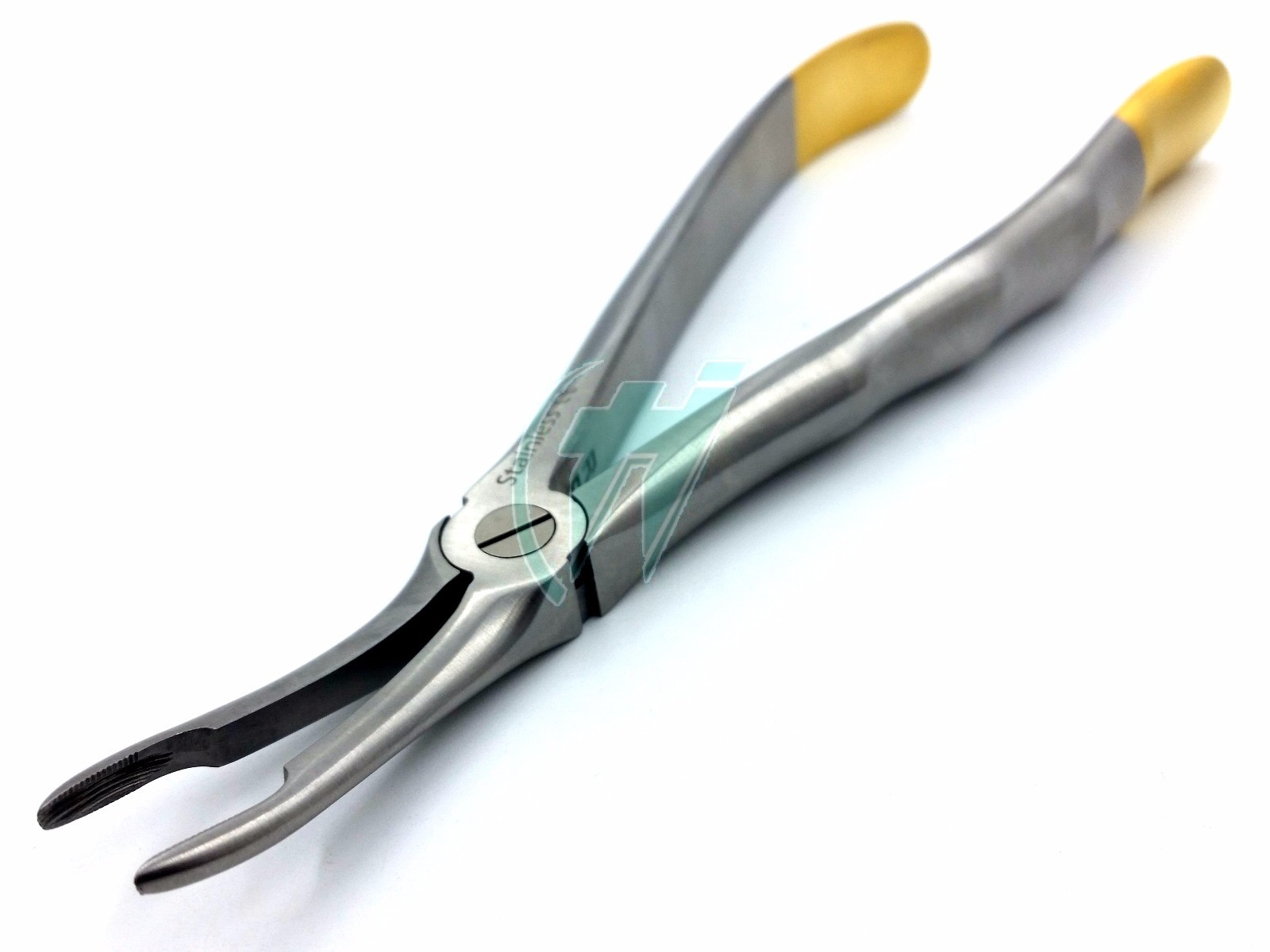 German Stainless Root Tip Dental Extracting Extraction Forceps Curved #44