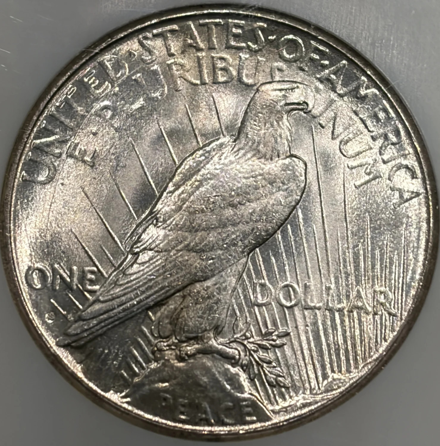 1925-S PEACE DOLLAR NGC MS64