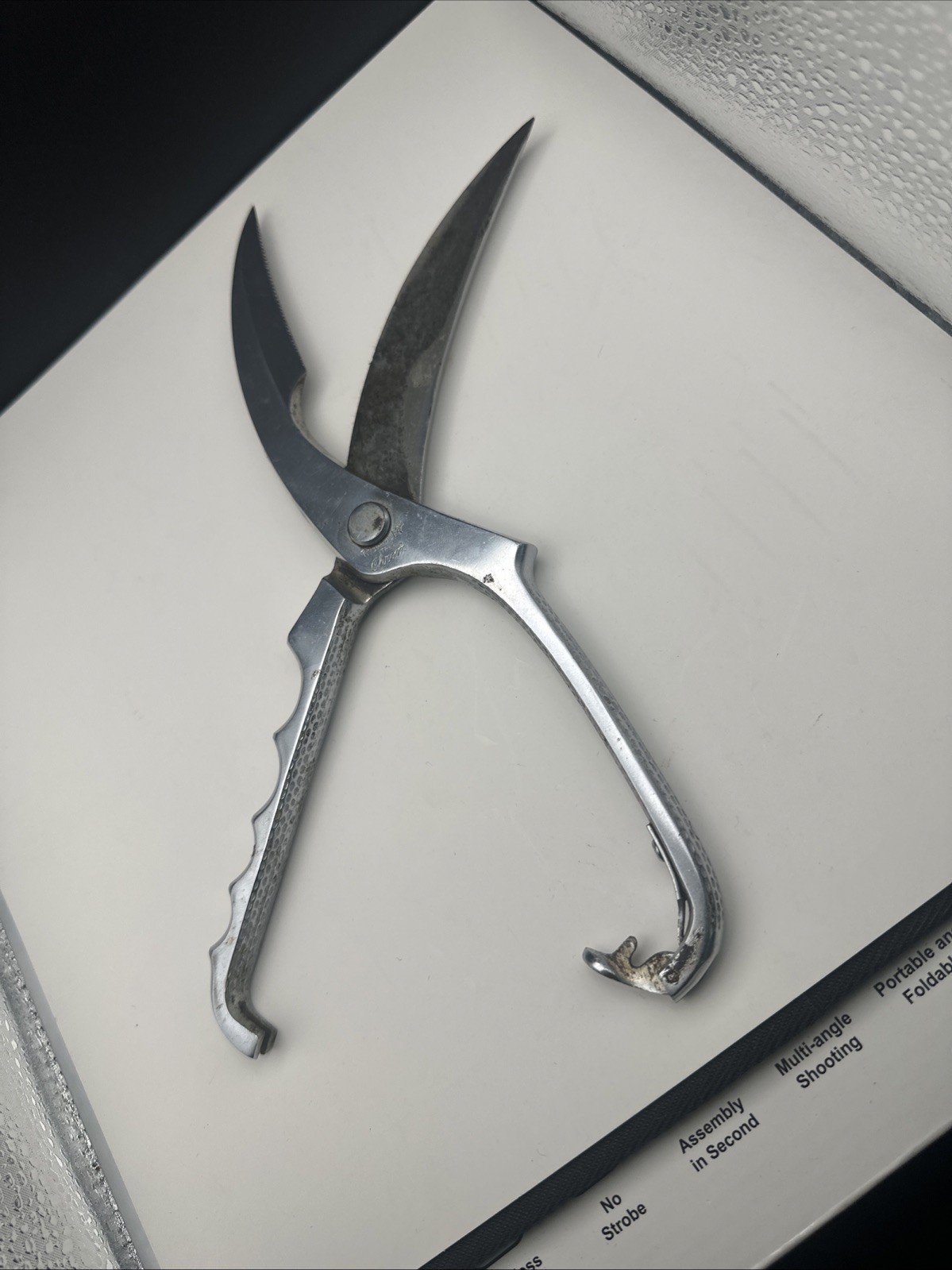 Thurnauer Poultry/Meat Shears Chrome Italy-Read