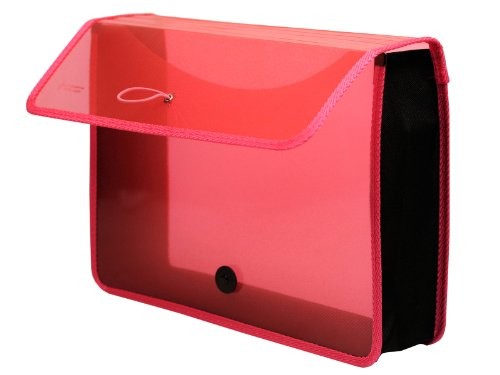 Lion Office 48160-PK Wallet,exp,letter,3",ast (48160pk)