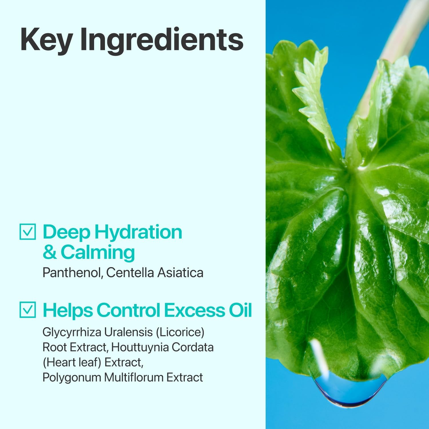 numbuzin No.1 Toner | Pure-Full Calming Herb Toner | Breakouts, Redness, Excess