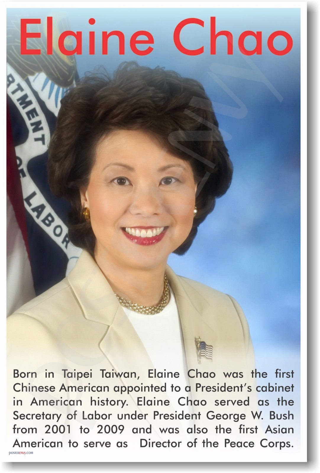 Elaine Chao - Asian American Secretary Of Labor - NEW Famous Person POSTER