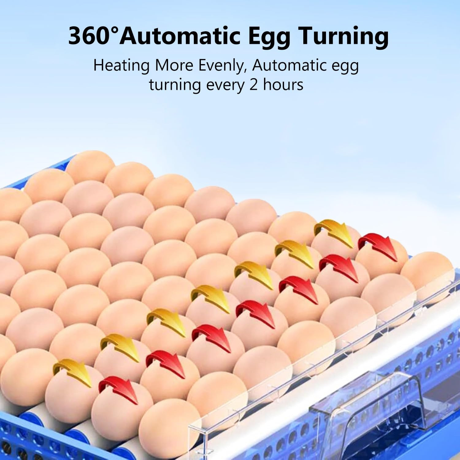 Automatic Eggs Incubator, Large Incubators for Hatching Eggs with Automatic Egg