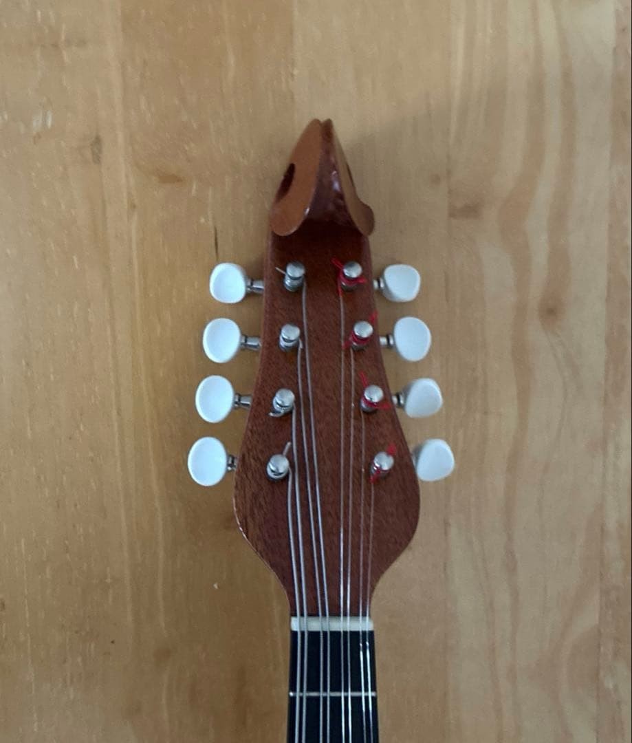 Noguchi Mandolin "SA Mandolin Napoli Type" Made in 2015 with case