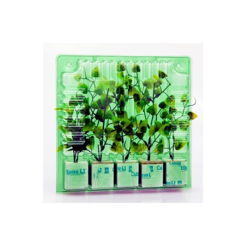Clone Shipper 5 Plant cell Seed Tray Rockwool or Plugs  - Quantity 10