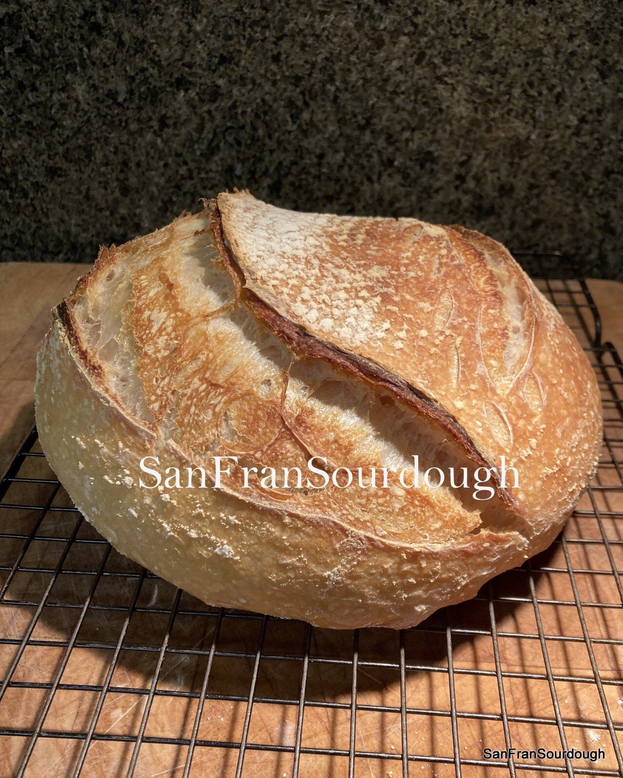 Active Dried Sourdough Starter San Francisco Yeast Bacteria baking bread