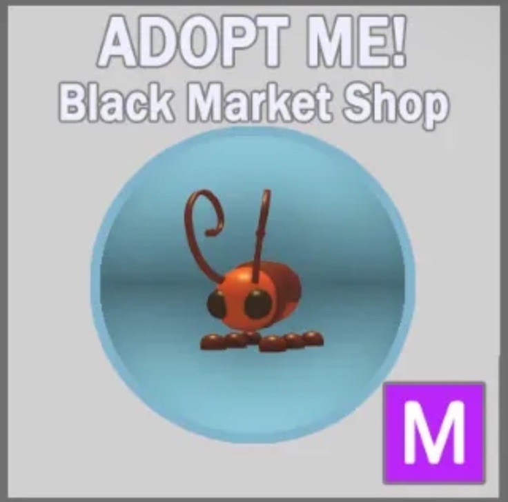 Mega Roach -  Adopt Your Pet From Me Today!