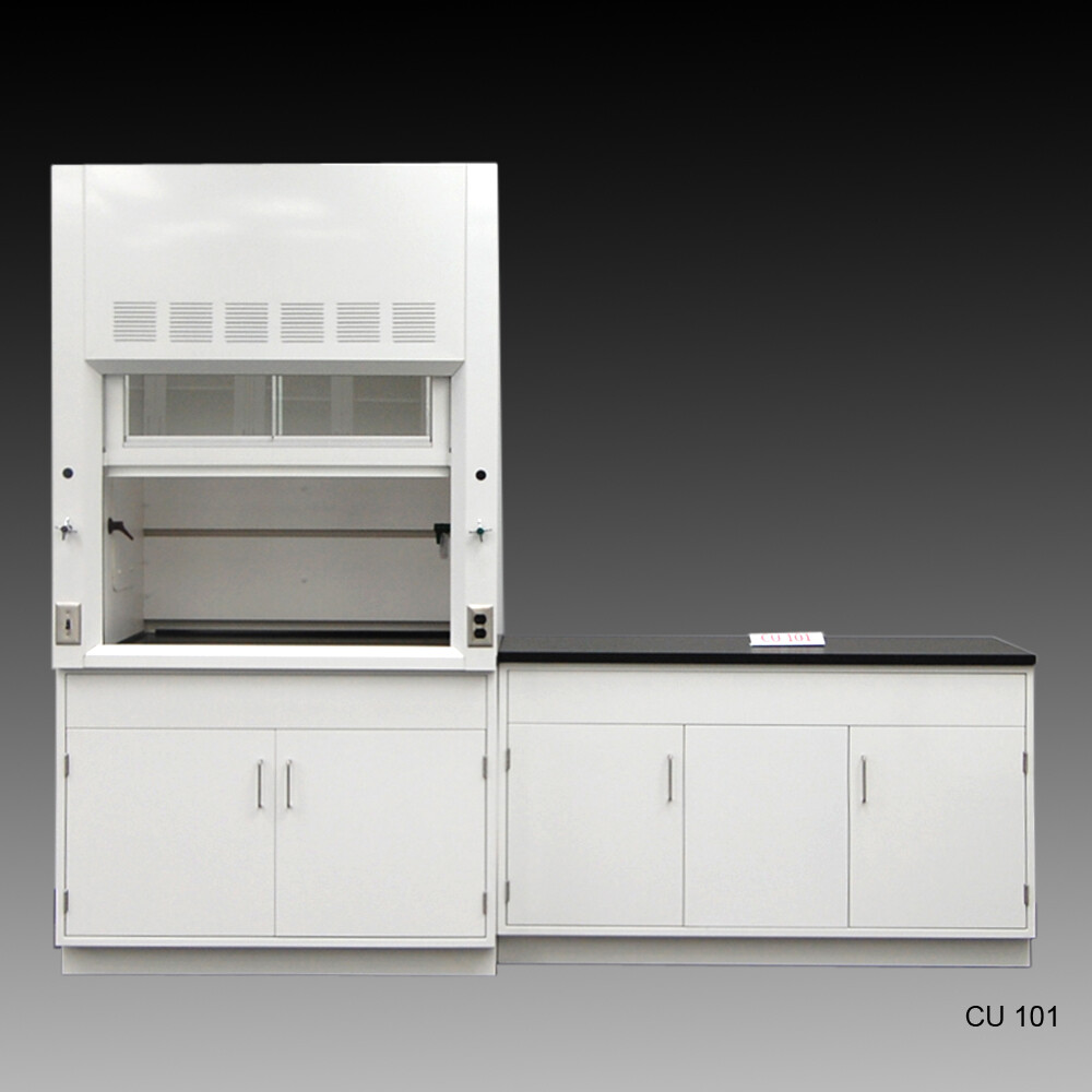 Fisher American 4' Fume Hood w/General Storage & 5' Laboratory Cabinet E2-205