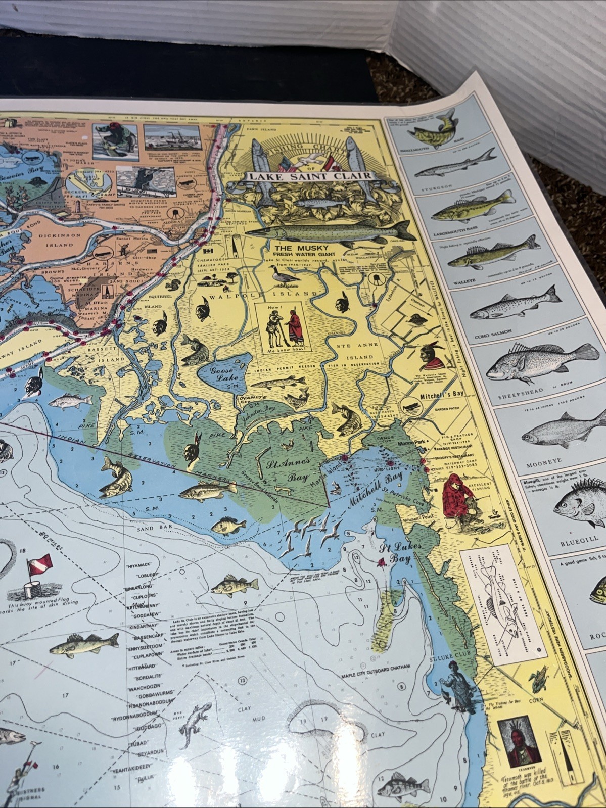 Nautical Fishing Chart Lake St Clair Michigan Laminated Map