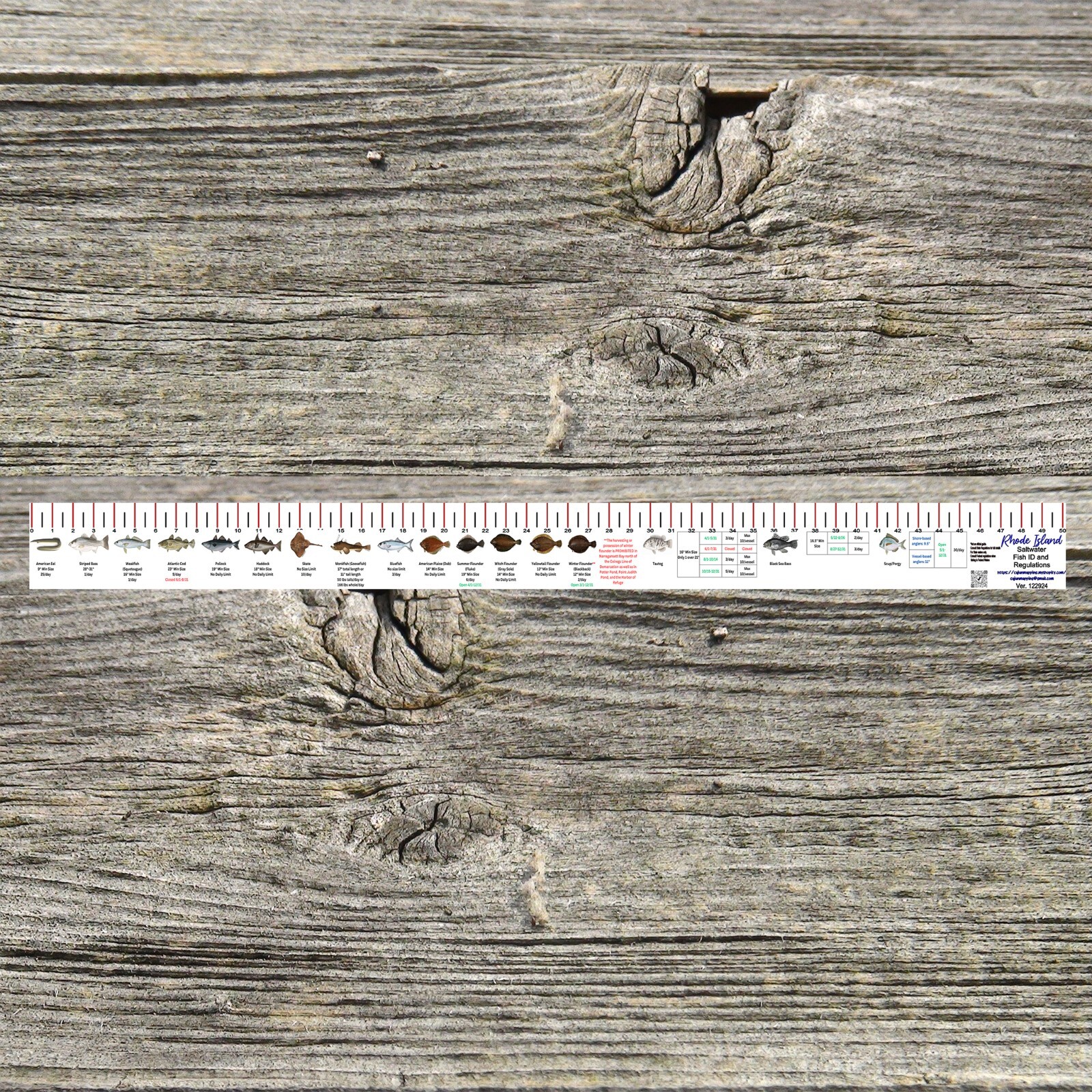 RHODE ISLAND SALTWATER FISH IDENTIFICATION AND REGULATIONS 50 INCH RULER DECALS