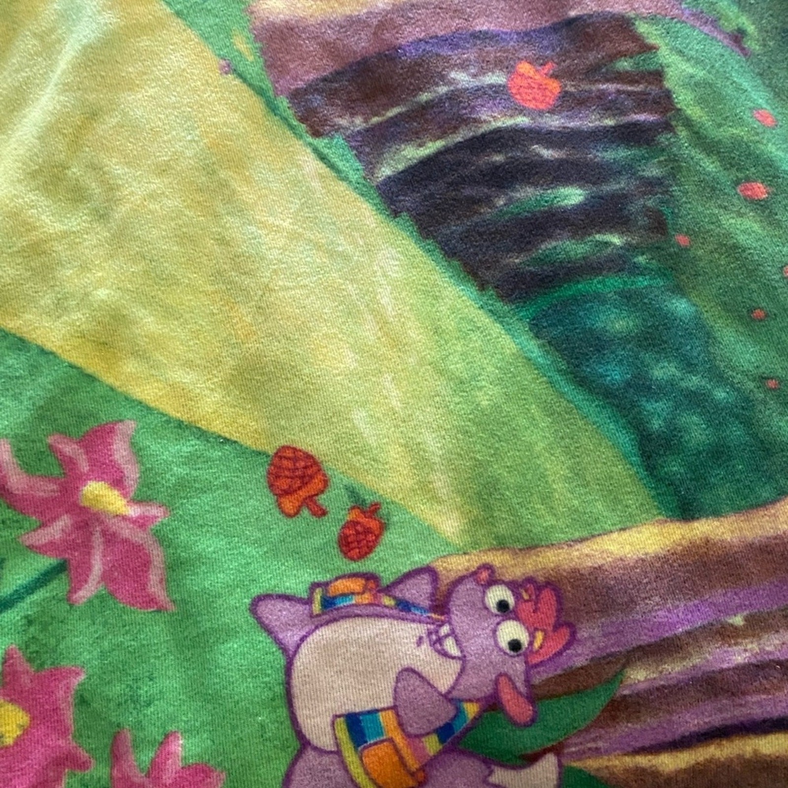 Dora the Explorer Kids Blanket - Green and Pink