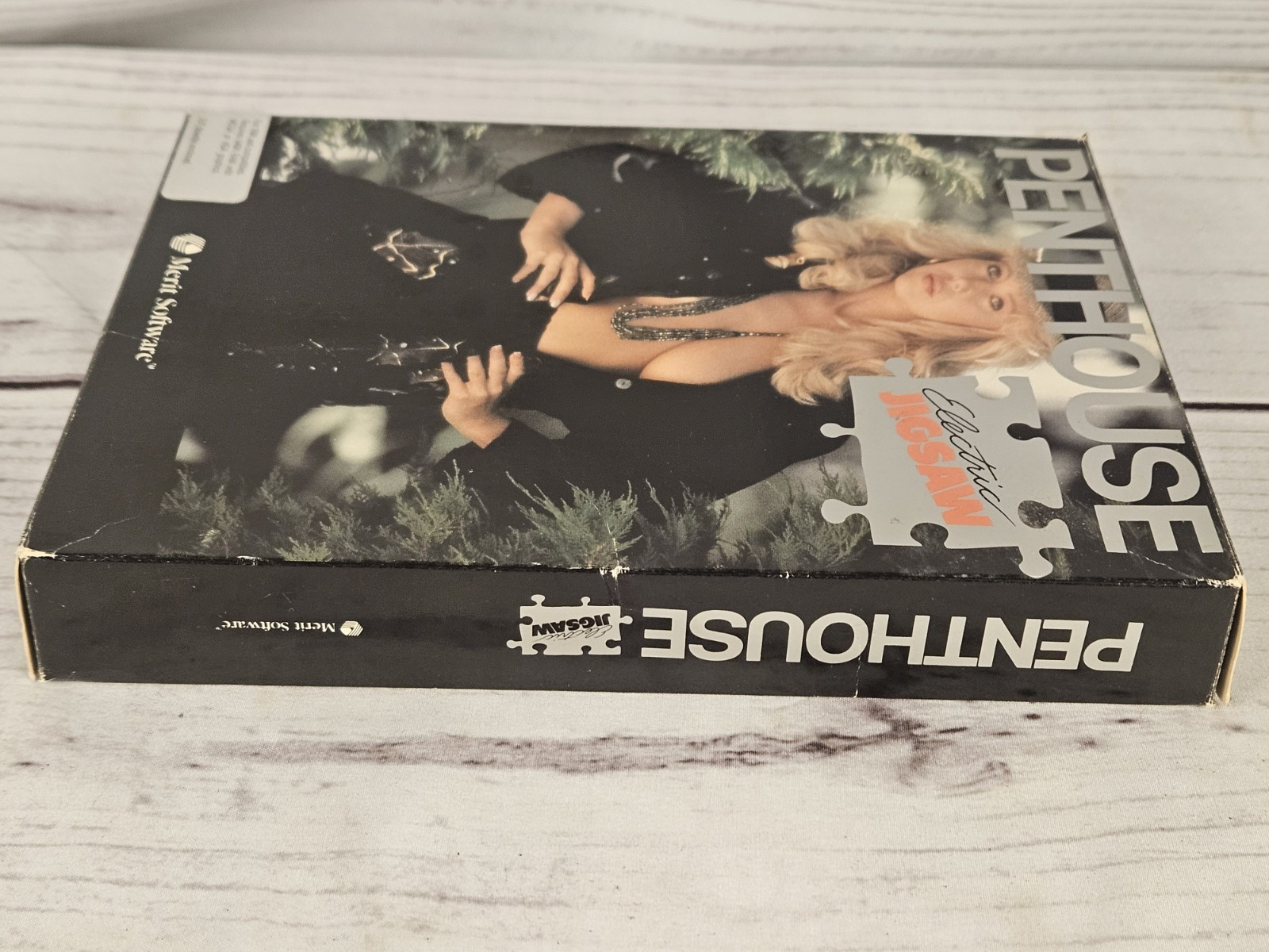 Penthouse Electric Jigsaw Puzzles Original IBM Software By Merit Software 1990