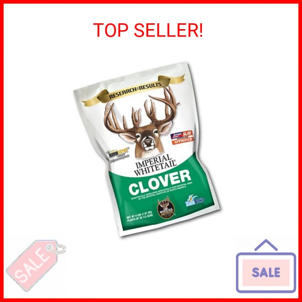Whitetail Institute Imperial Clover Deer Food Plot Seed for Spring or Fall Plant