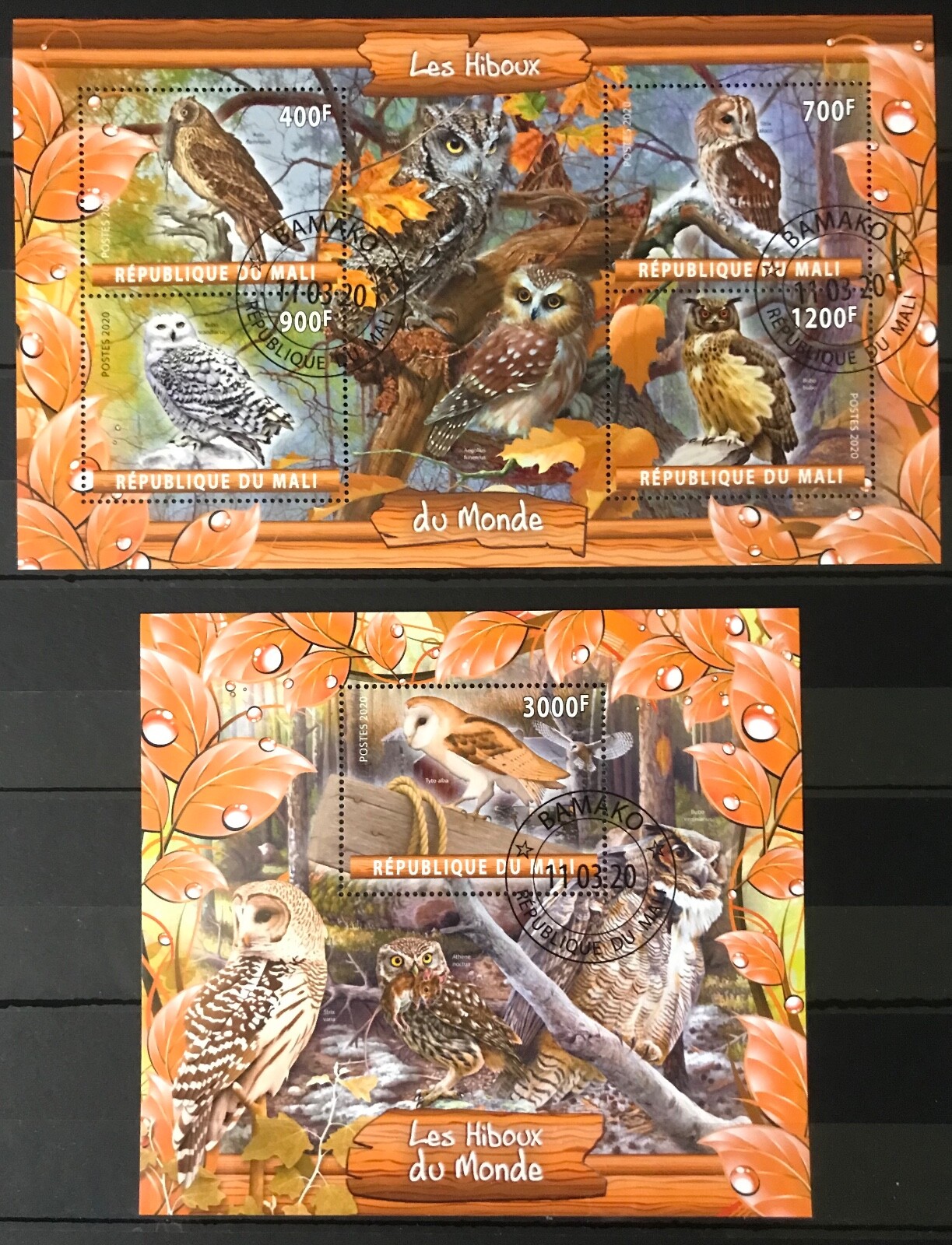 Les Hiboux / Owls / Birds / Fauna / Nature  - CTO - B307