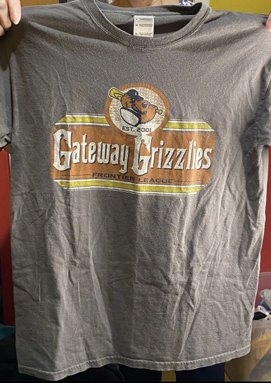 Illinois Gateway Grizzlies Baseball Gray Shirt Men’s Size Medium