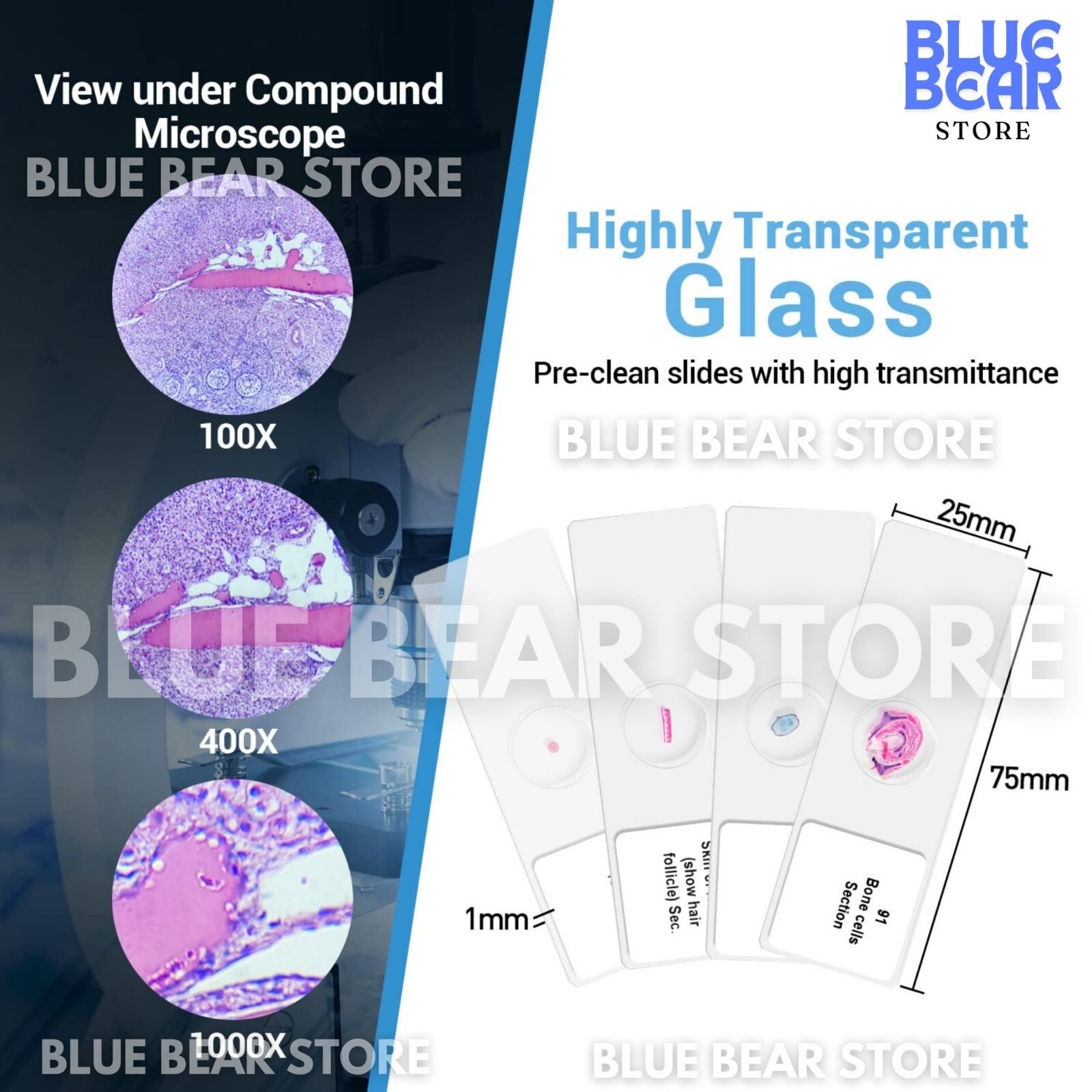 Prepared Microscope Slides Specimens Plant Insect Animal for Student Education