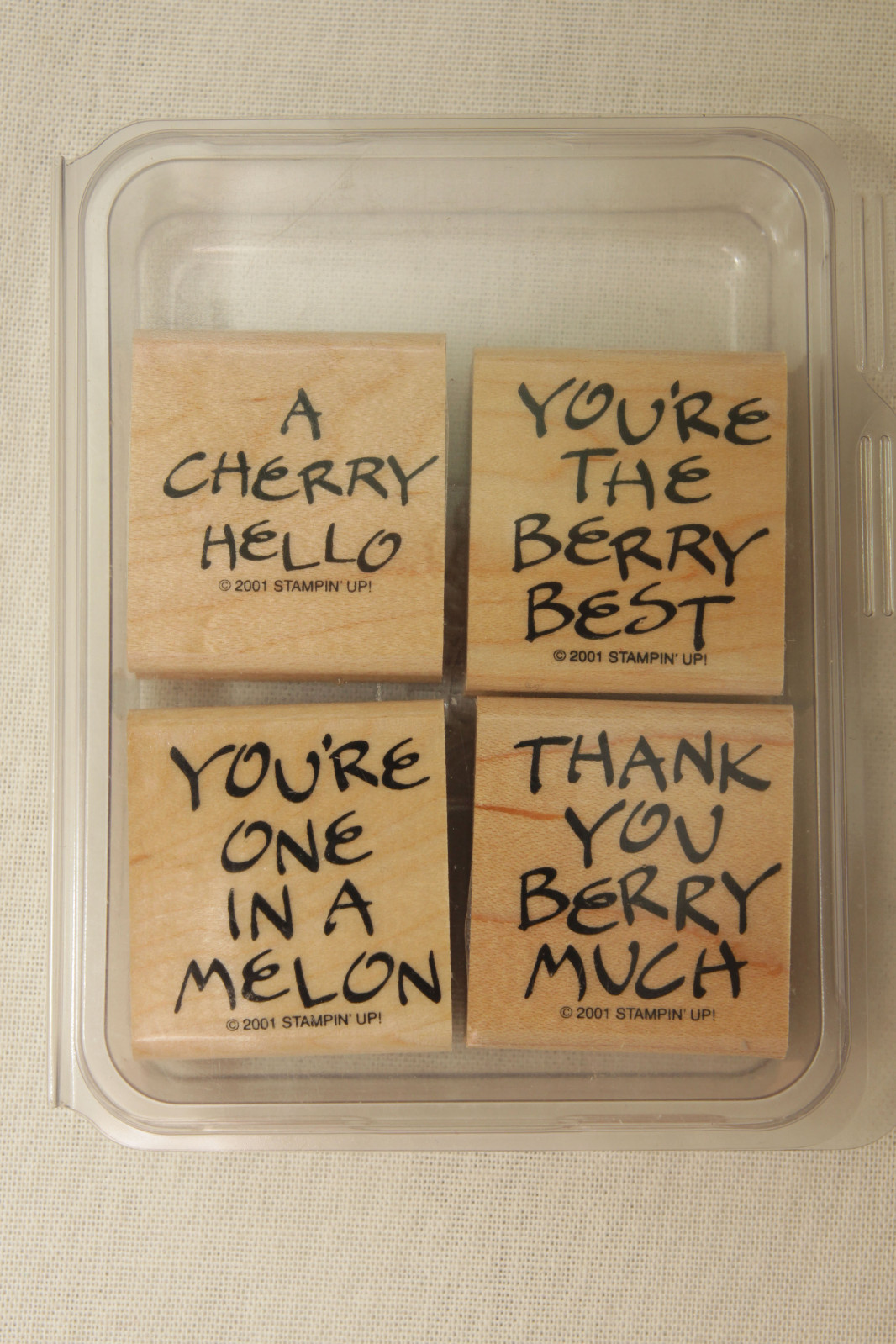 New Stampin' Up Fruity Phrases Set Of 4 Rubber Stamps