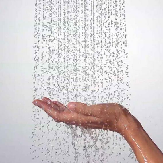 Hansgrohe Raindance Select S120 3jet EcoSmart Hand Shower - Peter Sagon