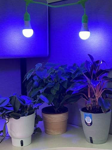 Grow with Elegance 4-Socket & Sliver Shade (4KK Blue Spectrum Edition)