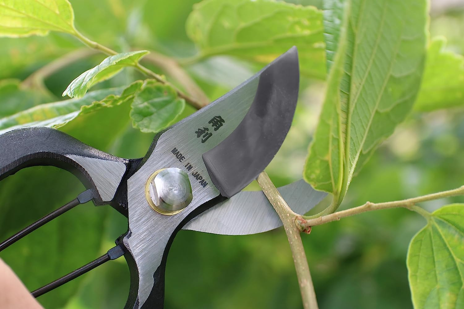 Japanese Pruning Shears for Gardening Heavy Duty 8", Made in JAPAN, Professional