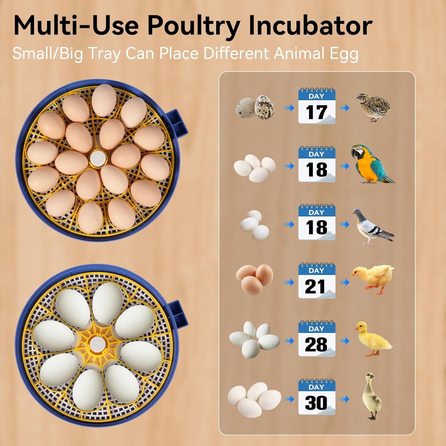 Automatic 18 Egg Chicken Incubator for Hatching Eggs with Turner