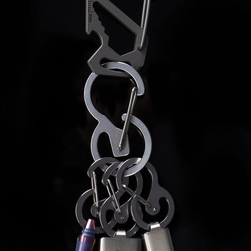 Stainless Steel Carabiner Keychain Set Quick Release Clips Loop-Locked Hooks
