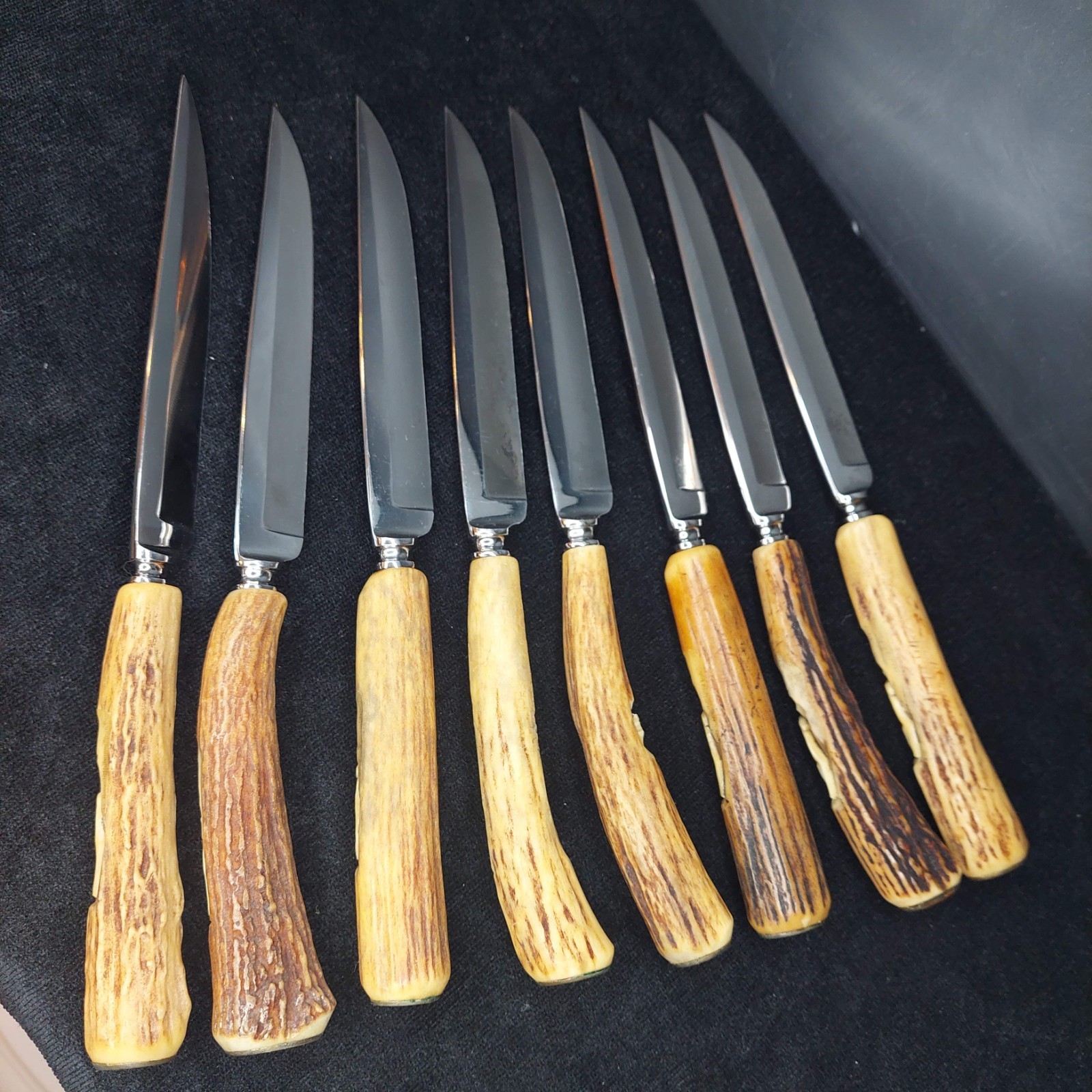 17 Pc 1930-1950 Karl Kimmel Solingen Germany Rust-free Stag Handle Flatware Set