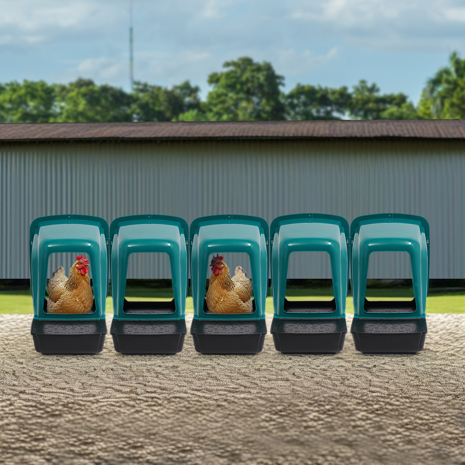 Nesting Boxes Egg Chicken Nesting Box Case For Chicken Coops Laying Wall-mounted