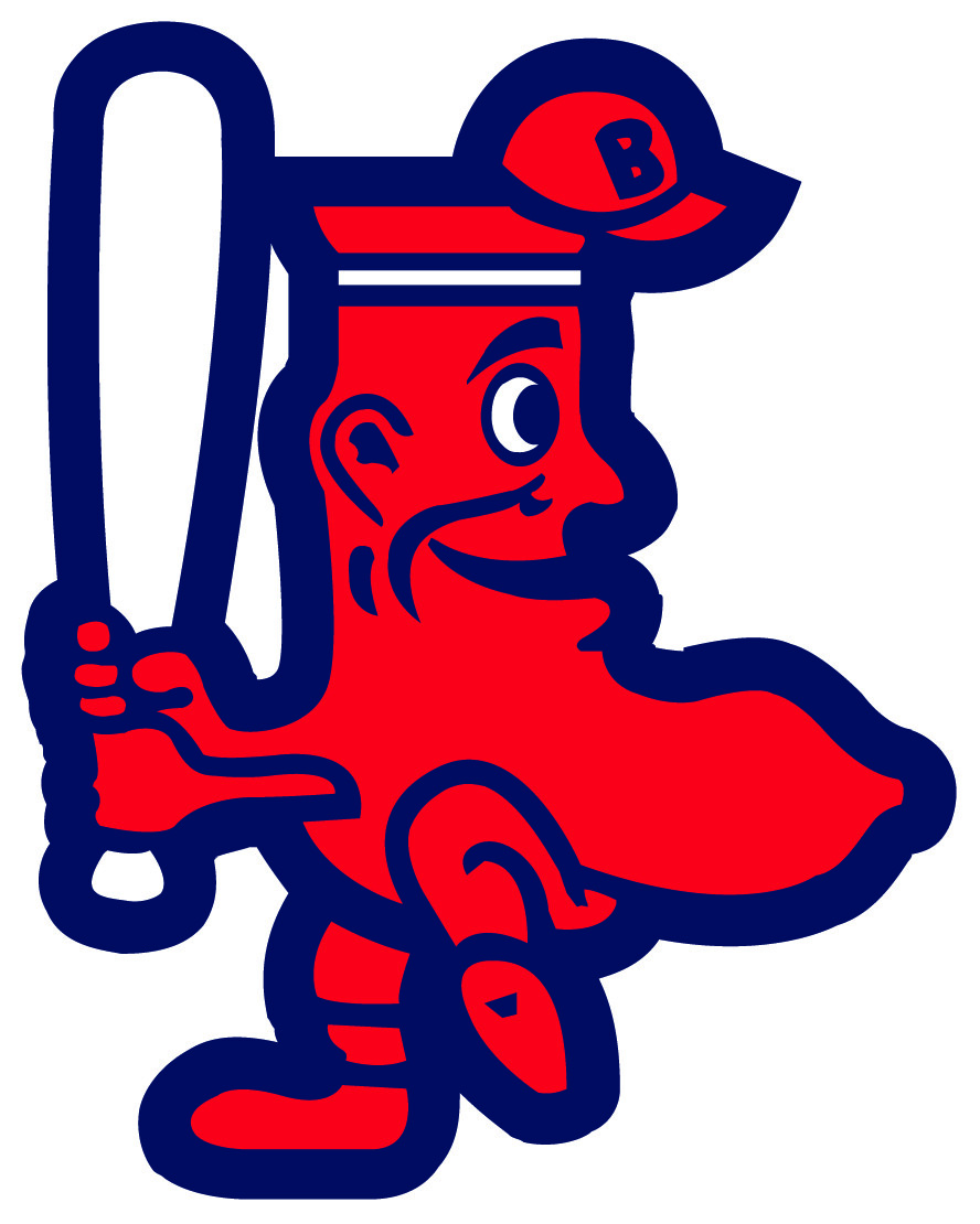 BOSTON REDSOX Vinyl Decal / Sticker ** 5 Sizes **