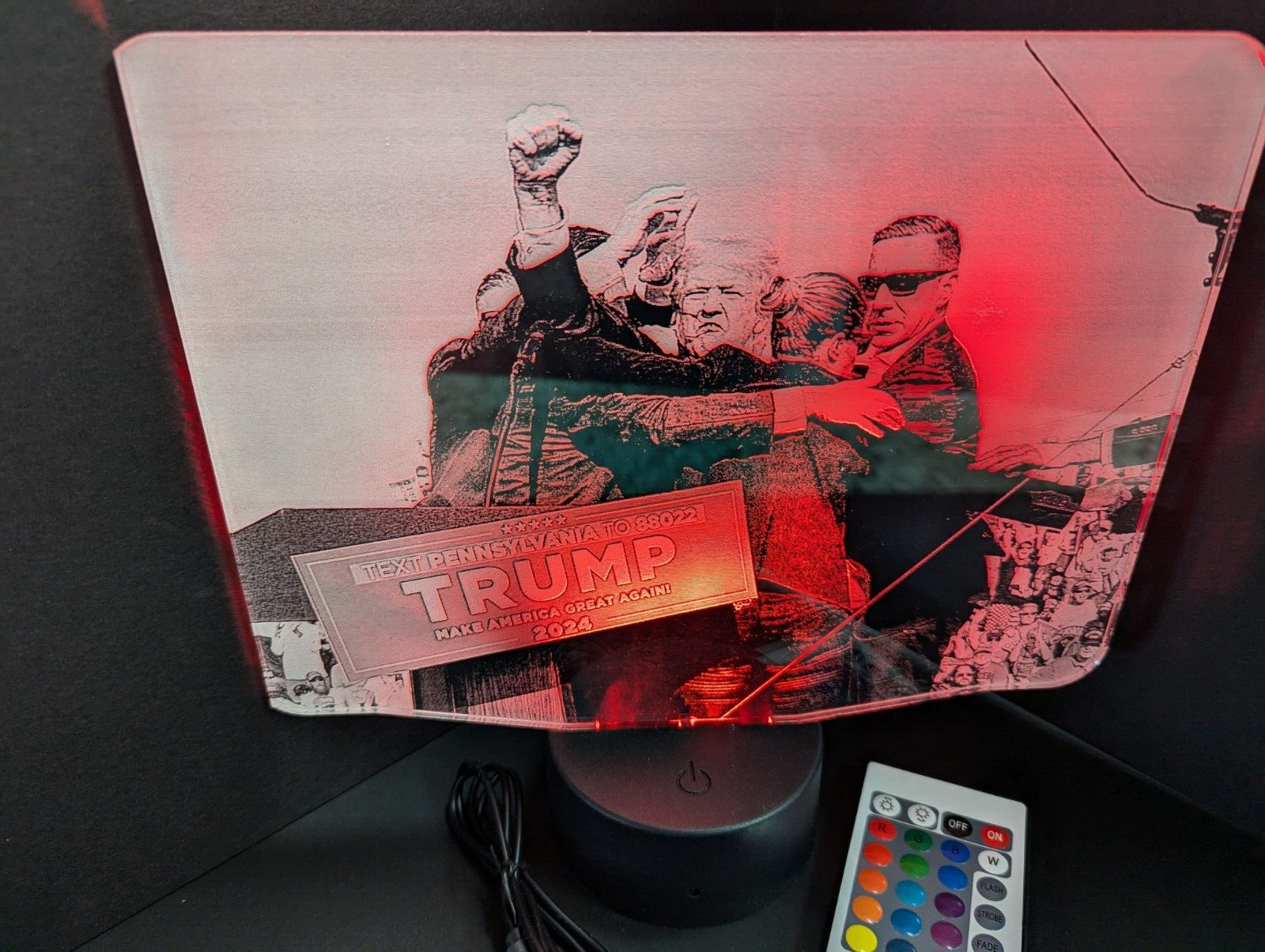 Donald Trump President L.E.D. Large light display