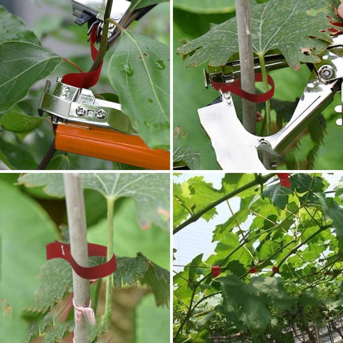 Plant Tying Machine Tool for Grapes Raspberries Tomatoes and Vining Vegetables