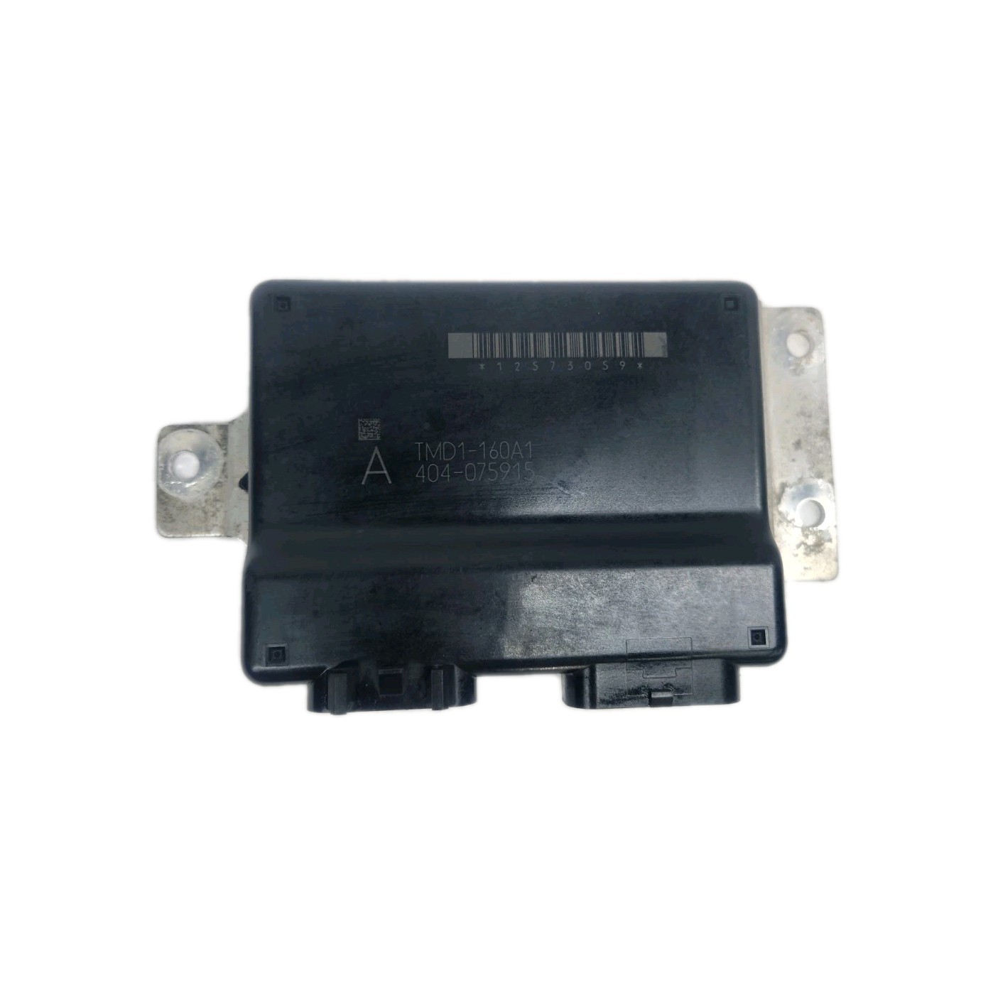 2003 2004 Gen 3 LS Truck Engines 4.8/5.3/6.0L TAC Module TMD1-160A1 12573059