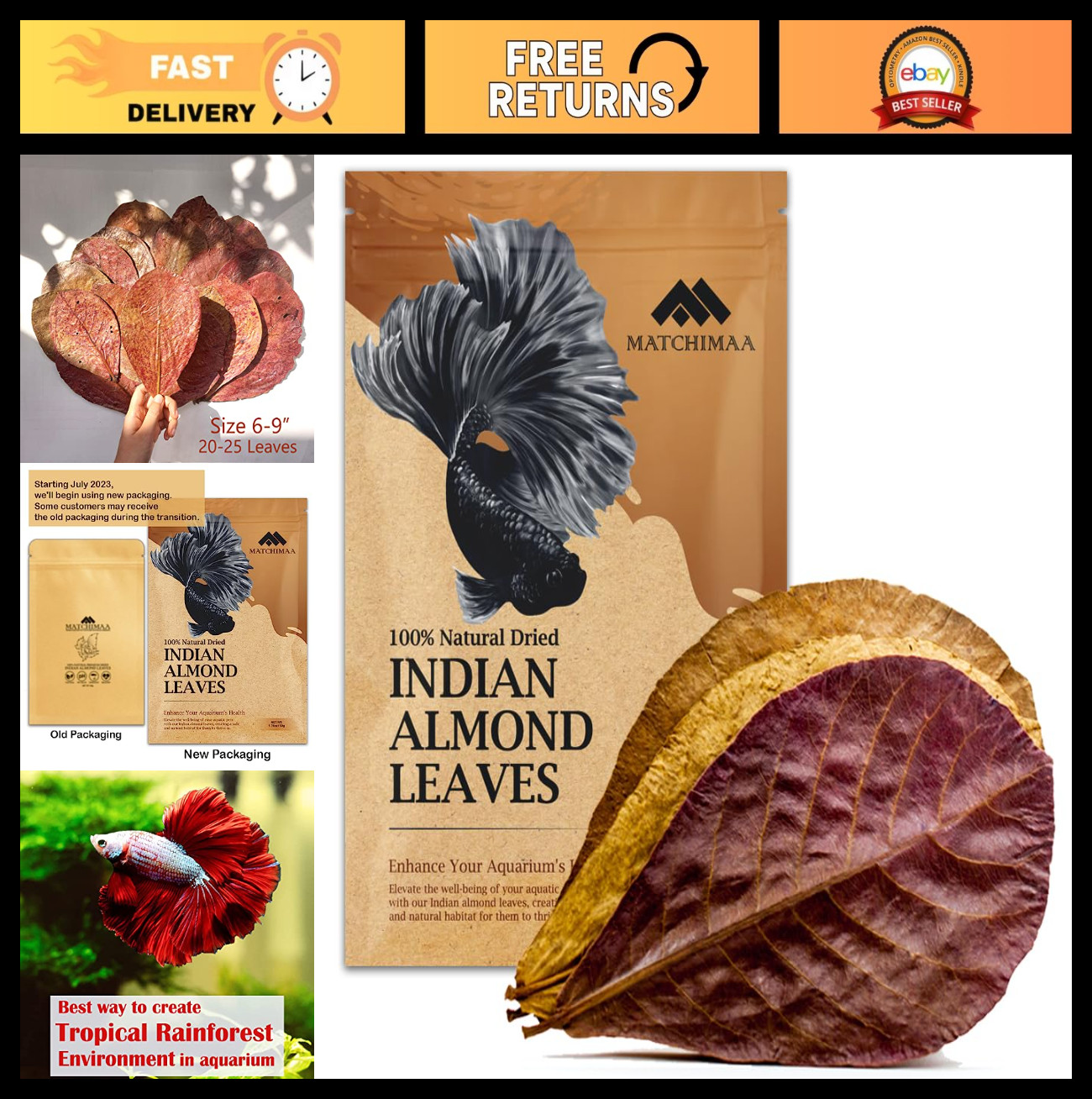 Premium Indian Almond Leaves for Aquarium Decor - 50g Pack (20-25 Leaves) - Tann