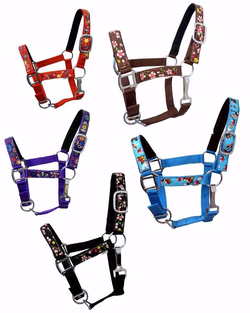 Premium PONY Padded Fancy Floral Tape 5 color Nylon Halter-SET of 5 or 1