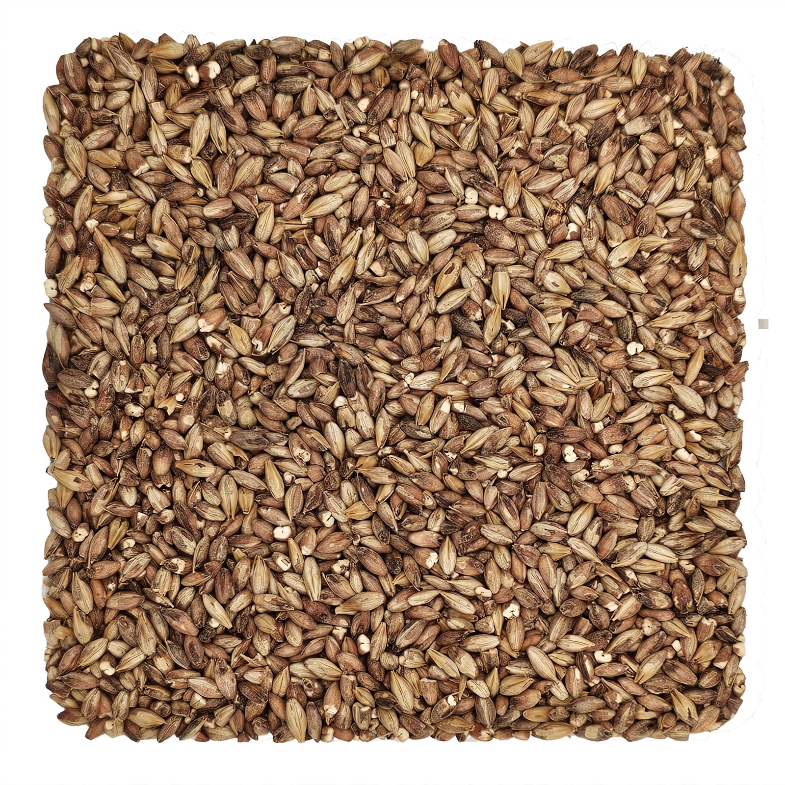 Home Brew Ohio Special Roast Grain 1lb
