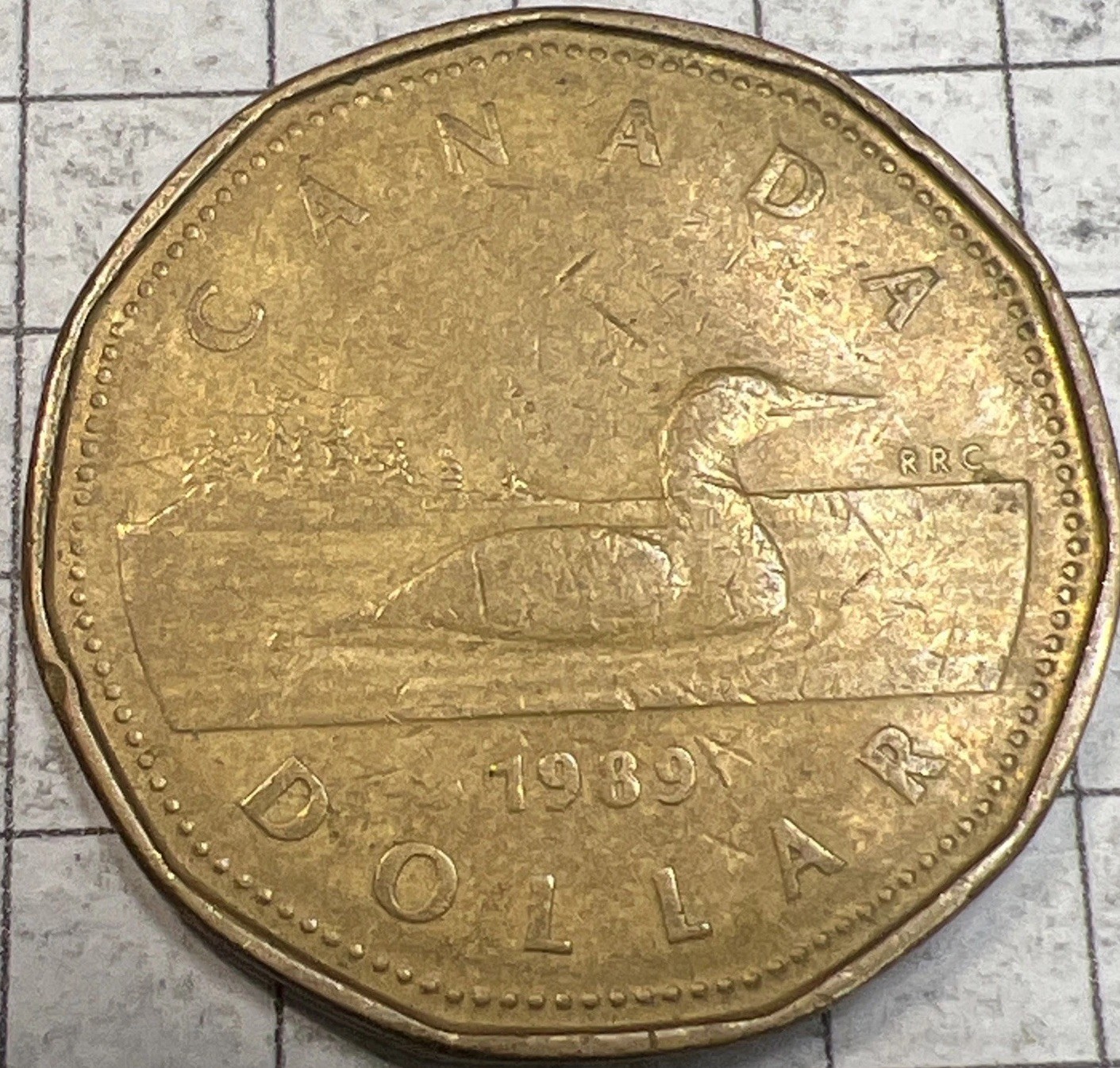 1989 Canadian Loonie - Circulated