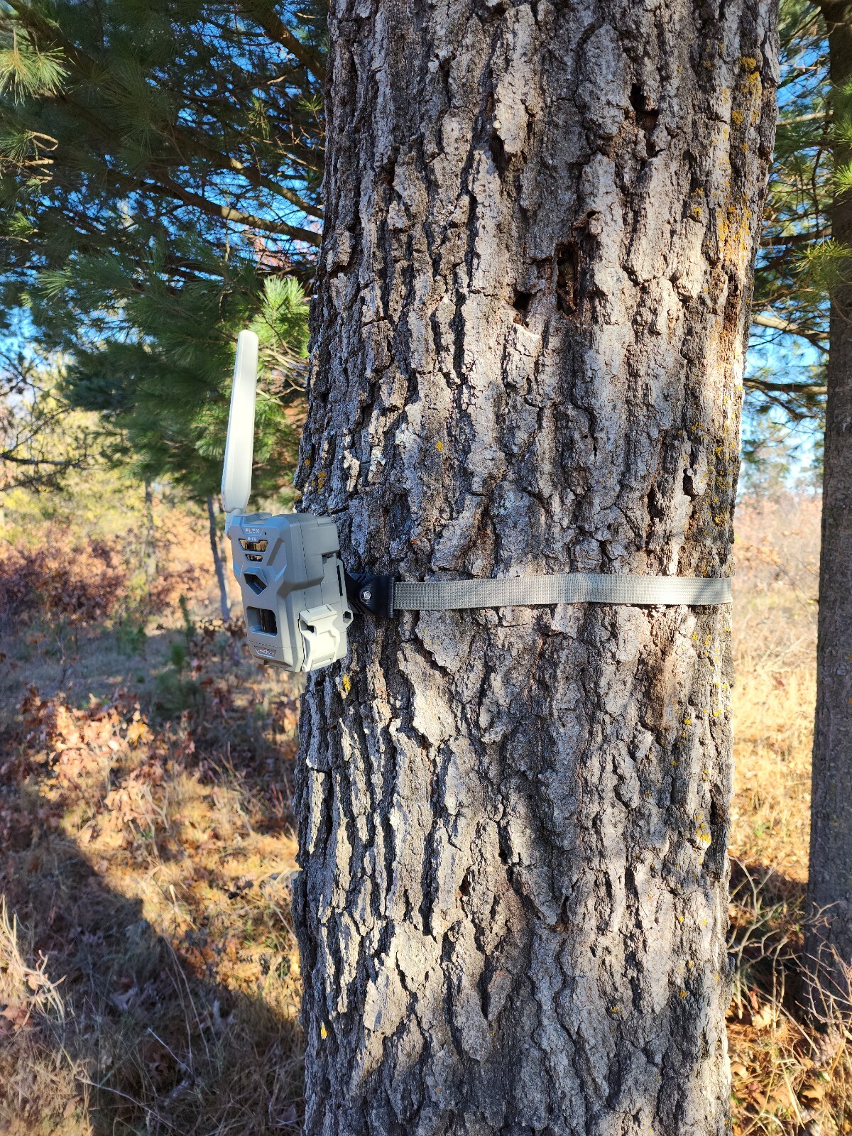 SPYPOINT Flex / Flex-M / Flex G36 Adjustable Trail Camera Tree Mount