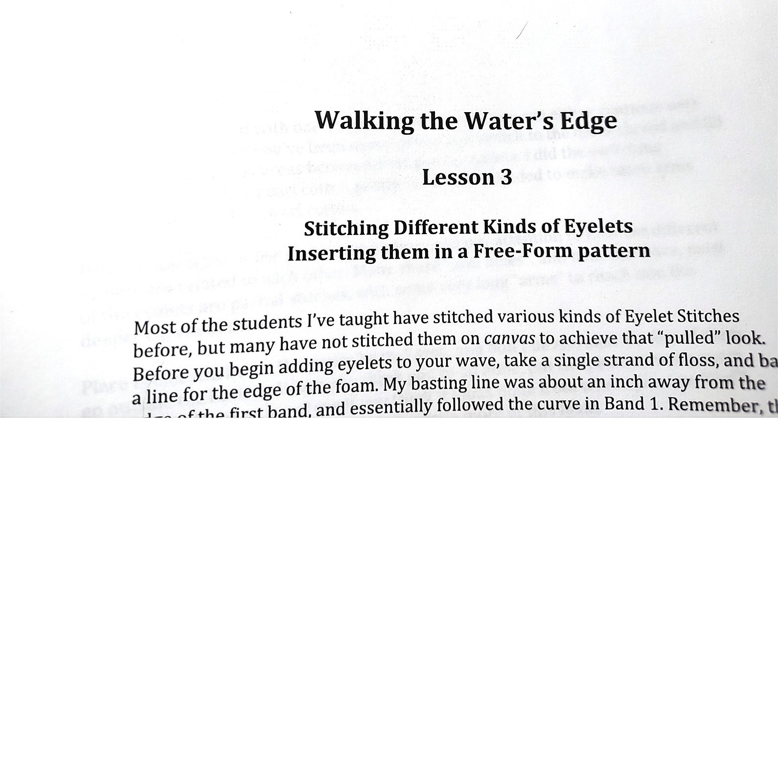 Diane Herrmann Needlepoint Pattern Walking Water’s Edge + RETIRED Class Lessons